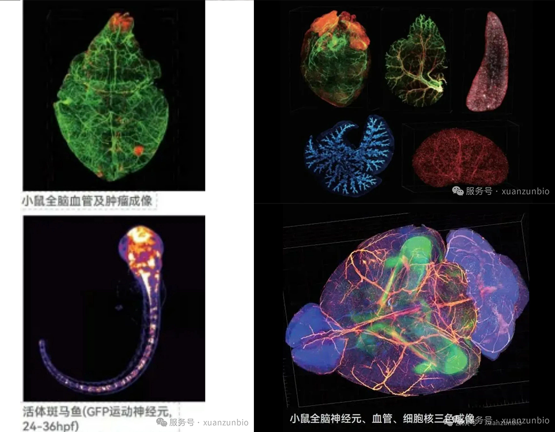 圖  片1.png
